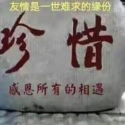 人生修行客