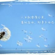 格式化_N