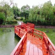 若是不爱岂会痛苦