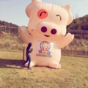 韩554
