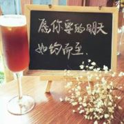 忧郁海豚1135
