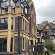 努力做一只小肉球