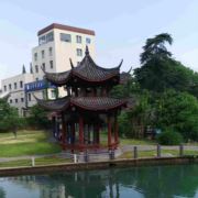 人生好像彩雲飄