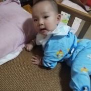 王台养蜂人