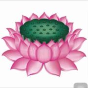 天意随缘y
