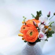 随心而至随性而往