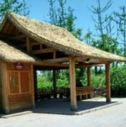 ws无奈的女汉子