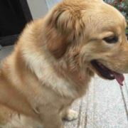 一分为二地看待