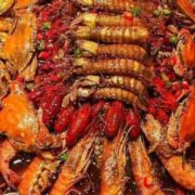 世态炎凉别太漂亮