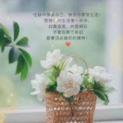 健康平安幸福828