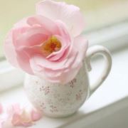 傲骨寒梅自苦寒来