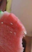 比较喜欢吃水果