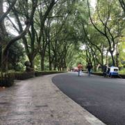 美好未来68686868