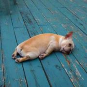 梦想当个包租婆