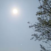 WX~6353374