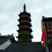 她他及我命
