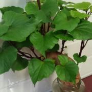 为了理想奋斗吧