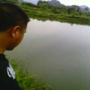 WX~6618750