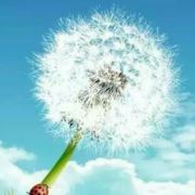 找手工活拿回家做