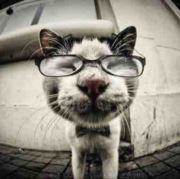 半夜的雨有点大