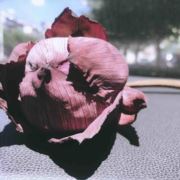 鑫润房产小邢同志