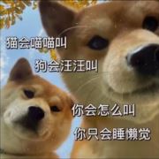 正在使用超值凤梨