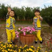 WX~7051201