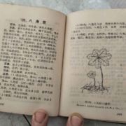 特战老兵有点傻