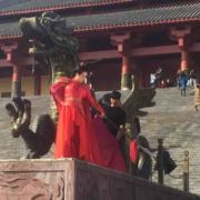 铲官一枚