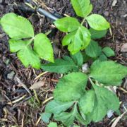 做好我美好未来