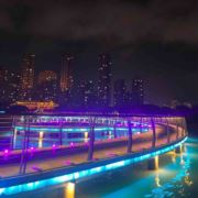 做三明治的小姐姐