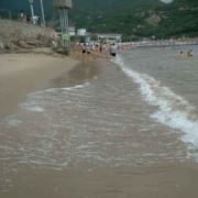 马路边上的蚂蚁