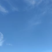 人生恰如朝露