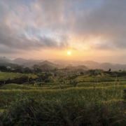 成功引起我的注意