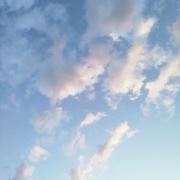 落入尘风扬轻诉