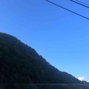 WX~8235220