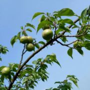 给自己找一个理由