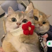QQ~8325622