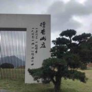 WX~8378389