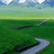 明天我还醒来吗