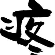 小杨__瓷之韵