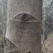 有你就有了幸福