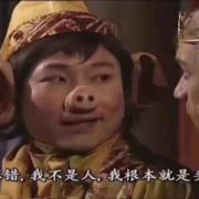 却只开到茶蘼