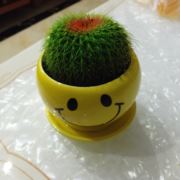 WX~8551131