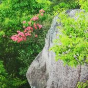 岁月如是