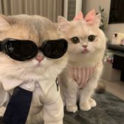 老人和孩子先走