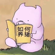 丷9527