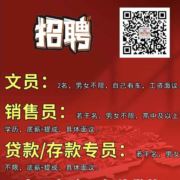 兰玫瑰招聘