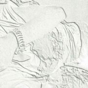 WX~9146166