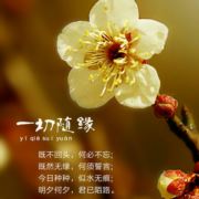 WX~9218179